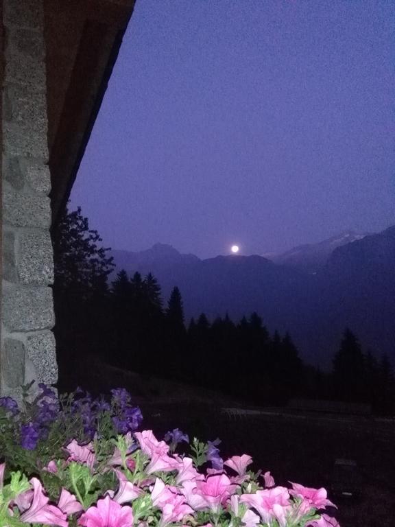 Agriturismo Valsaviore Cevo Екстериор снимка