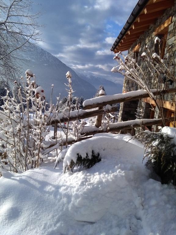 Agriturismo Valsaviore Cevo Екстериор снимка